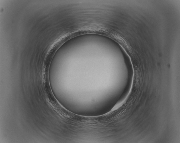 X0000082700680200702091723