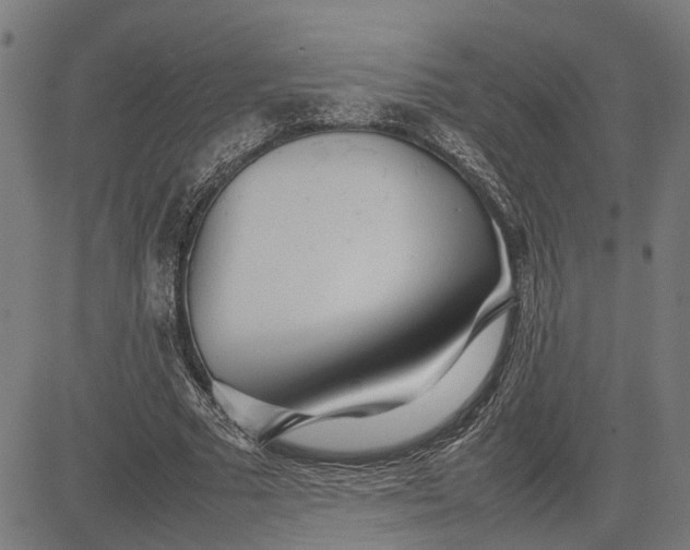 X0000082700681200702091723