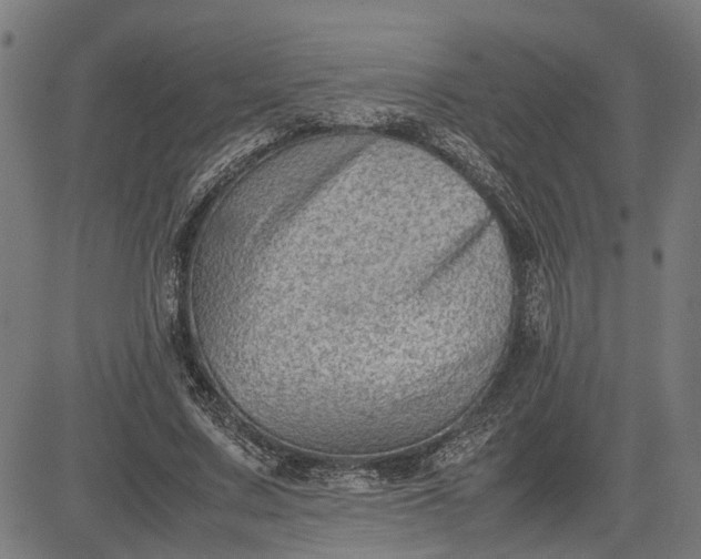 X0000082700683200702091723