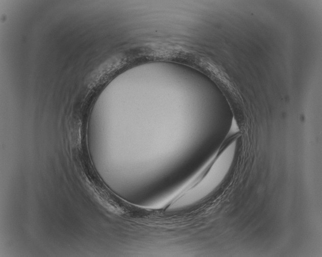 X0000082700685200702091723