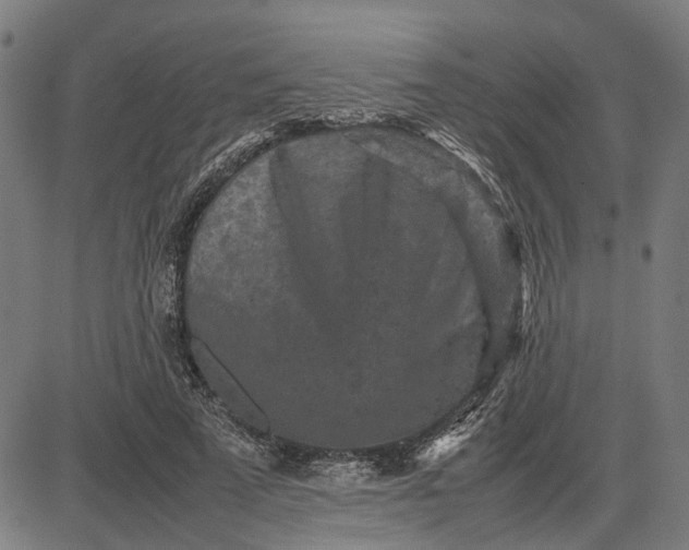 X0000082700689200702091723