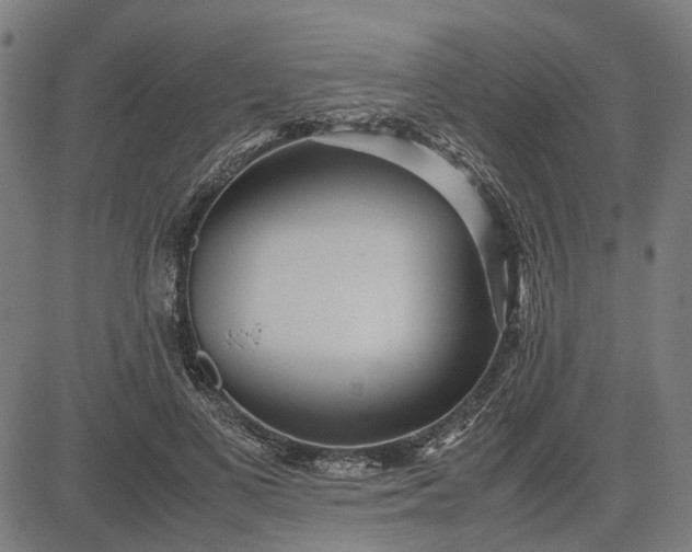 X0000082700693200702091723