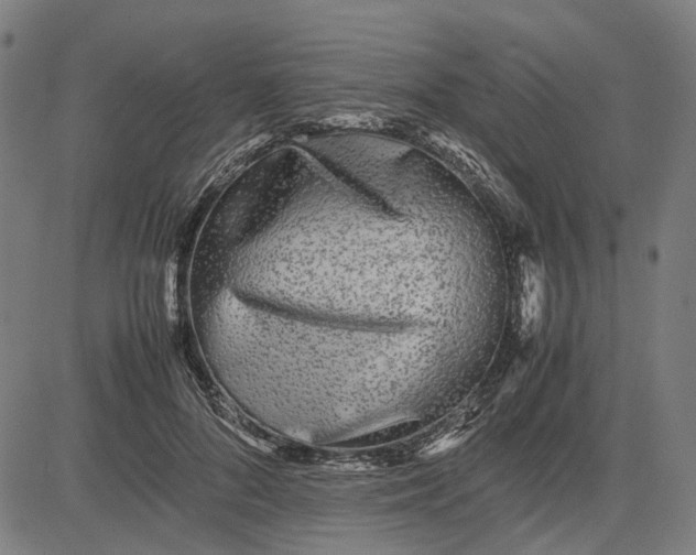 X0000082700696200702091723