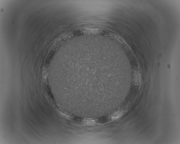 X0000082700701200702091723