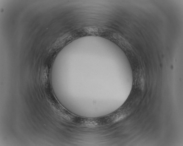 X0000082700702200702091723