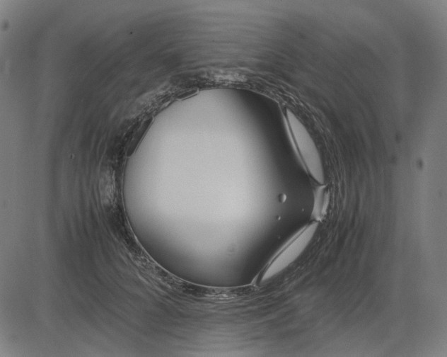 X0000082700704200702091723