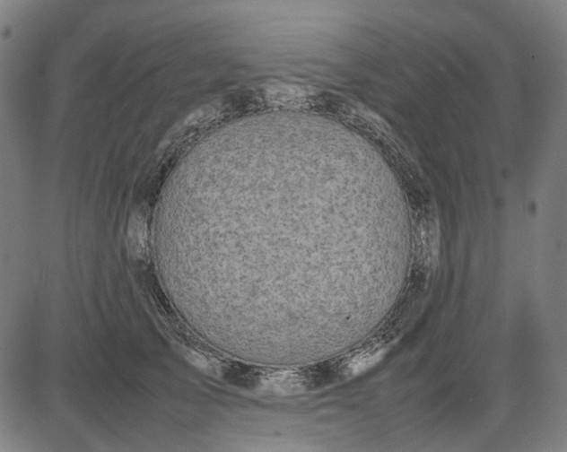 X0000082700705200702091723