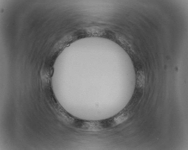 X0000082700713200702091722