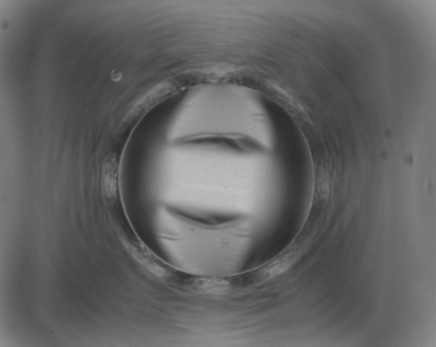 X0000082700719200702091722
