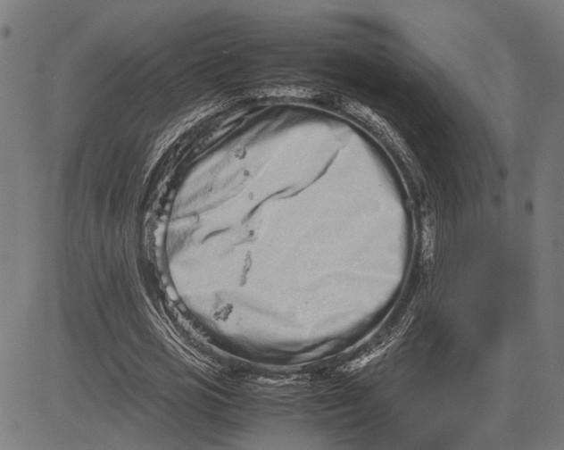 X0000082700725200702091722