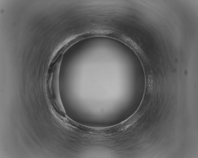 X0000082700726200702091722