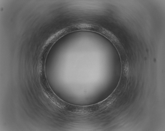 X0000082700732200702091722