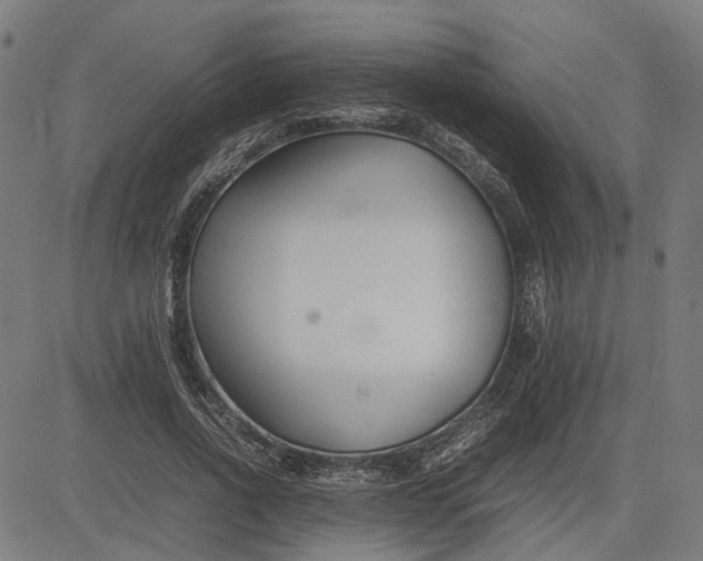 X0000082700734200702091722