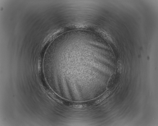 X0000082700740200702091722