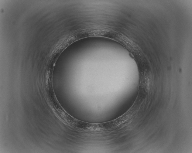 X0000082700742200702091722