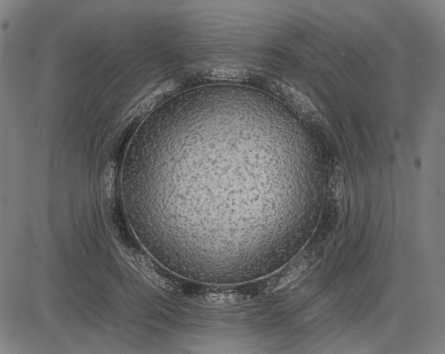 X0000082700744200702091722