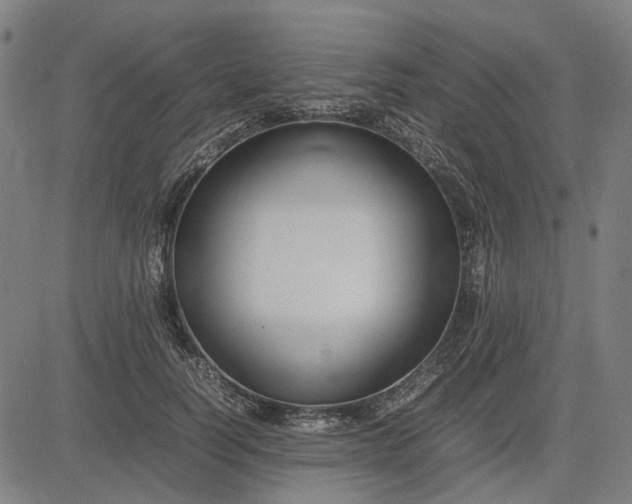 X0000082700746200702091722