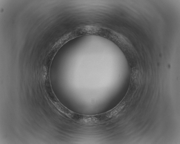 X0000082700752200702091722