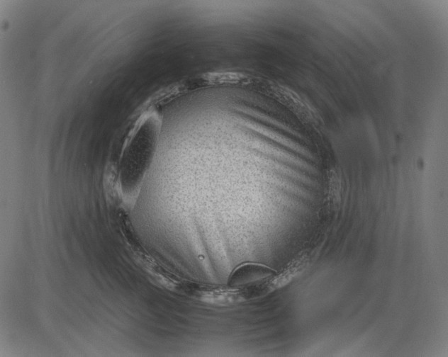 X0000082700761200702091722