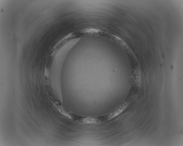 X0000082700762200702091722