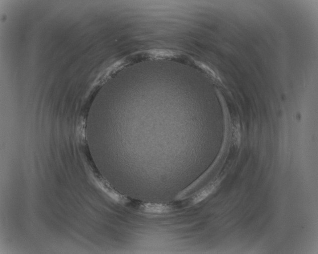X0000082700766200702091722