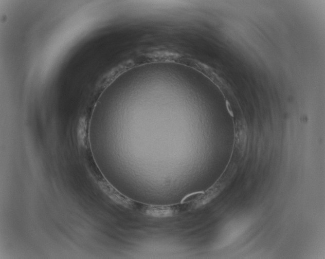 X0000082700767200702091722