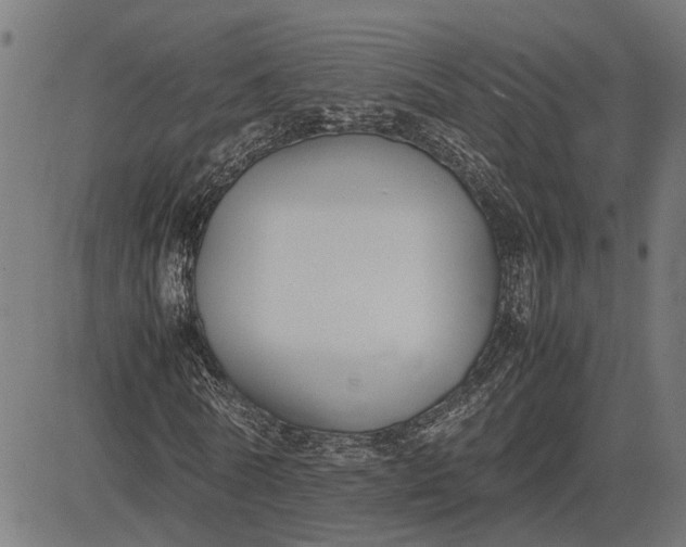 X0000082700770200702091721
