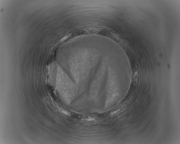 X0000082700772200702091721