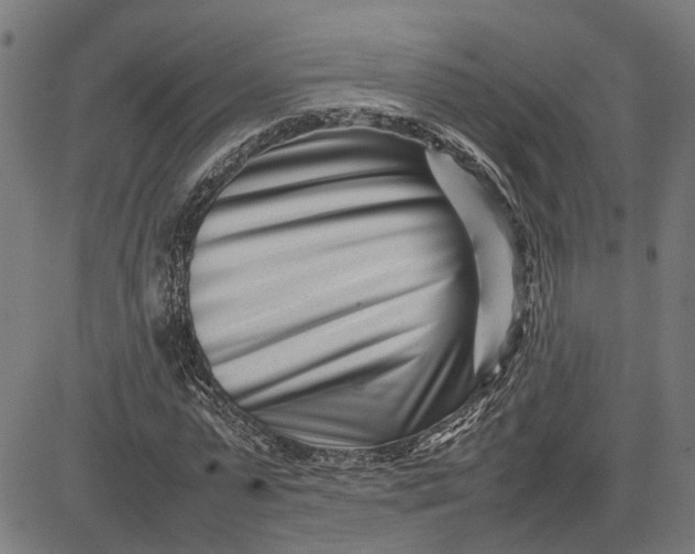 X0000082700775200702091721