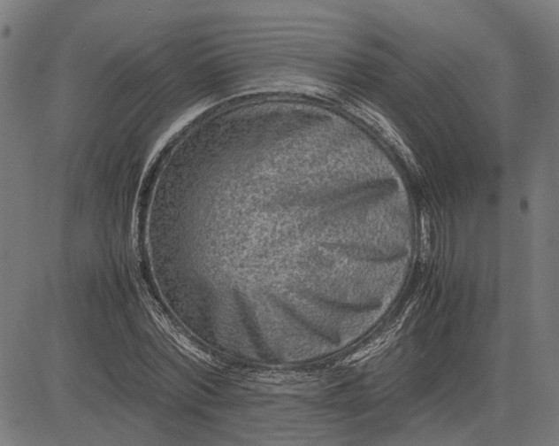X0000082700780200702091721