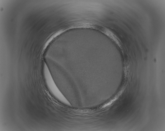 X0000082700781200702091721