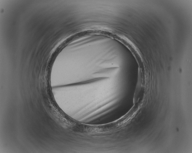 X0000082700783200702091721