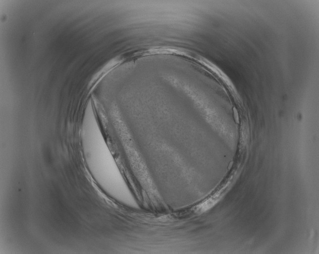 X0000082700809200702091721