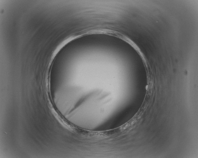 X0000082700811200702091721