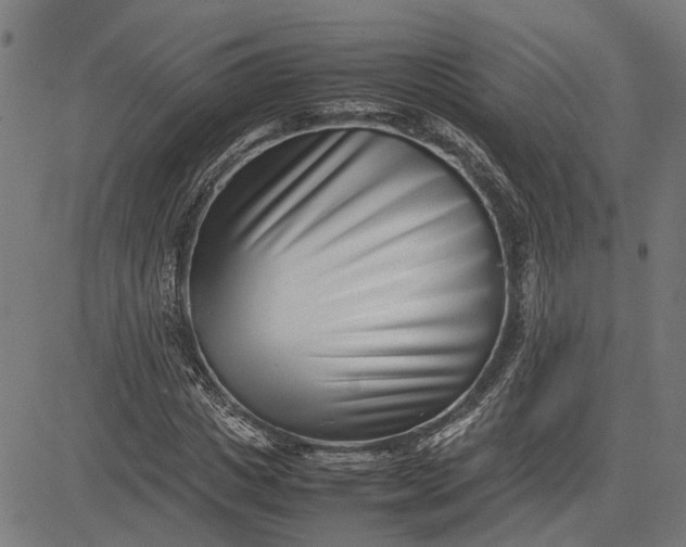 X0000082700825200702091720