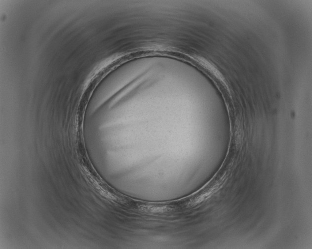 X0000082700831200702091720
