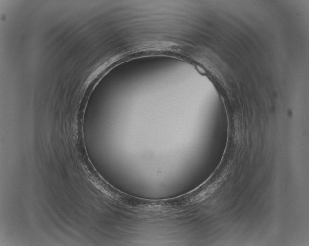 X0000082700834200702091720