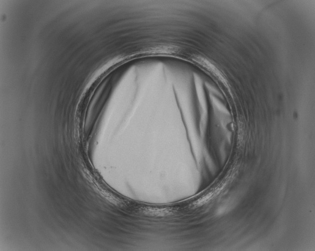 X0000082700835200702091720