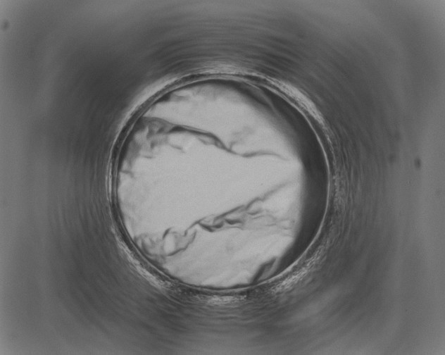 X0000082700839200702091720