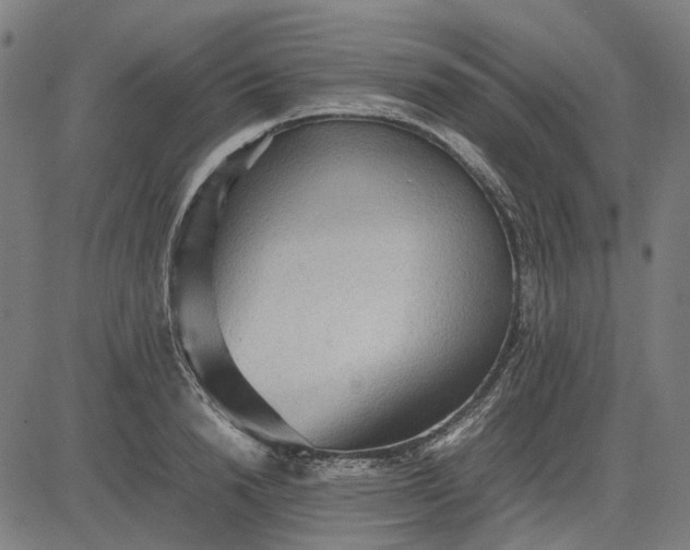 X0000082700846200702091720