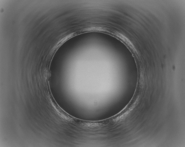 X0000082700849200702091720
