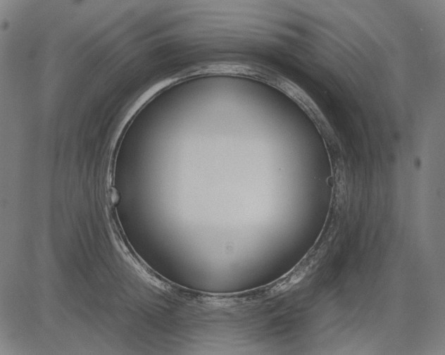 X0000082700852200702091721