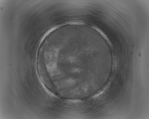 X0000082700853200702091721