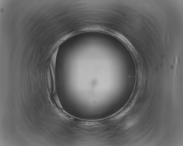 X0000082700857200702091721