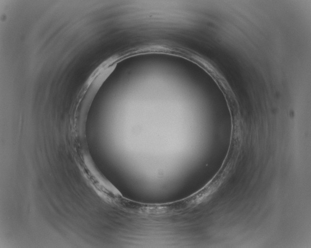 X0000082700858200702091721
