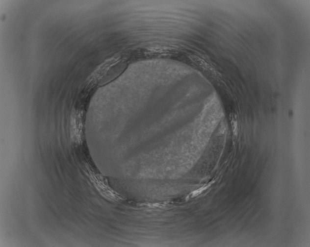 X0000082700868200702091720