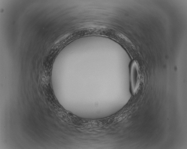 X0000082700869200702091720