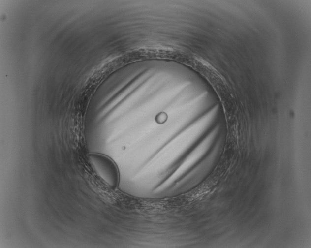 X0000082700870200702091720
