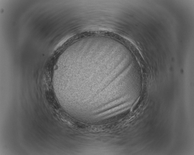 X0000082700871200702091720