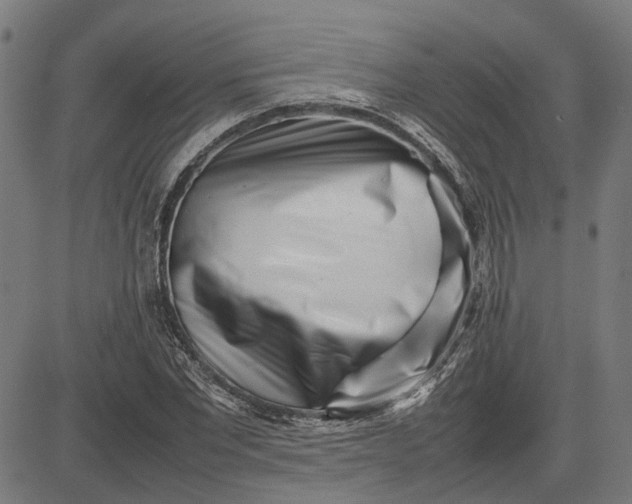 X0000082700877200702091720